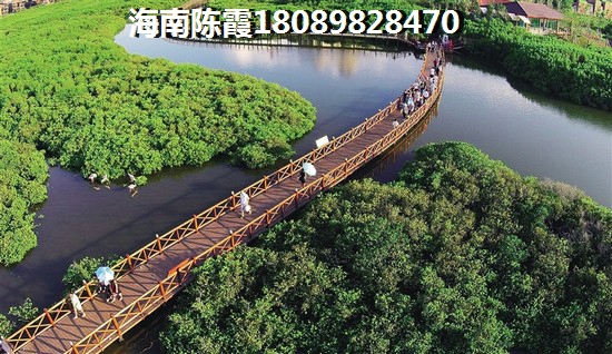 開維生態(tài)城VS互聯(lián)網(wǎng)金融大廈分析對(duì)比