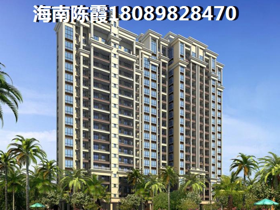 >2020儋州購房分析