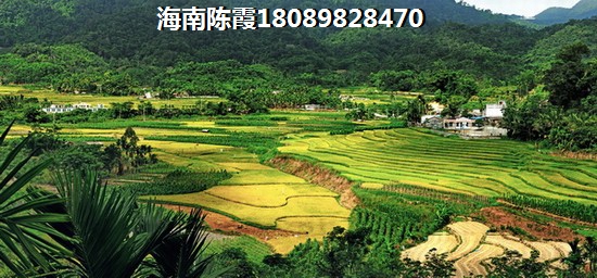 溪林雅居VS保利·六千樹分析對比