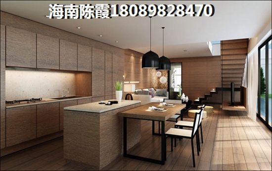 海地春天VS廣物·海南之心分析對(duì)比