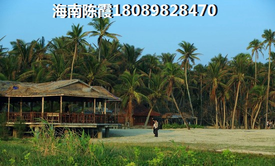 天地鳳凰城VS海的理想分析對比 天地鳳凰城VS海的理想分析對比