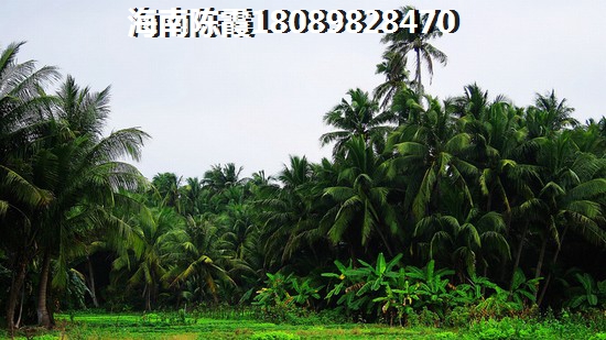海南瓊海官塘的房子未來會(huì)生紙嗎？