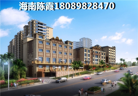 臨高房子是否紙得買